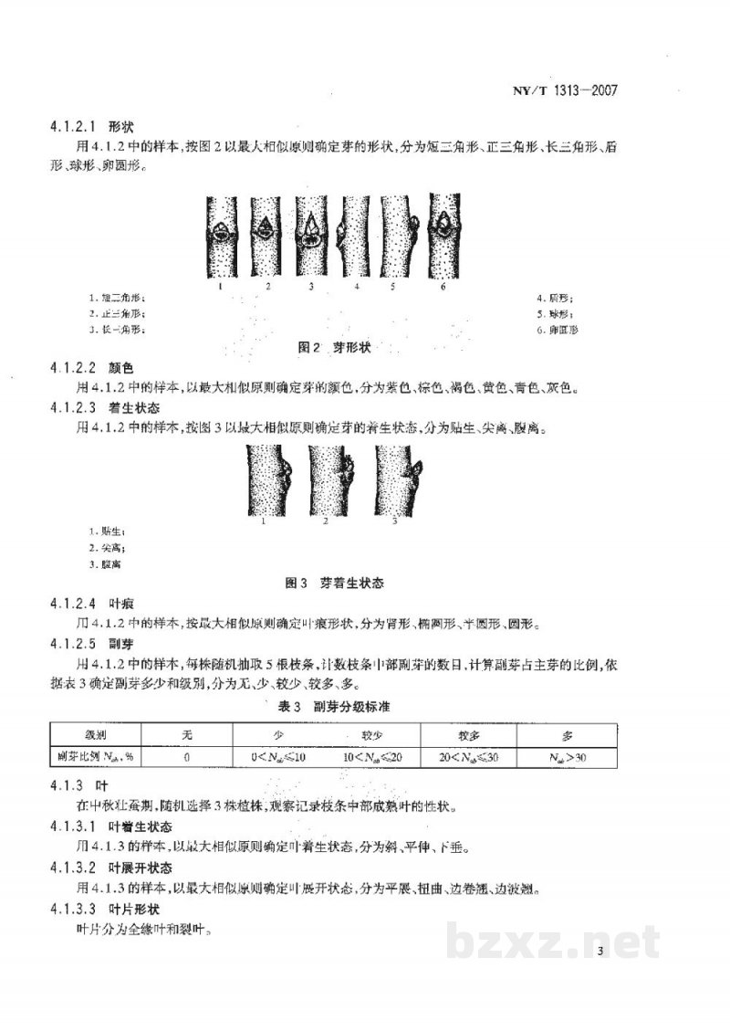 NY/T 1313-2007农作物种质资源鉴定技术规程桑树 NY/T 1313-2007农作物种质资源鉴定技术规程桑树
