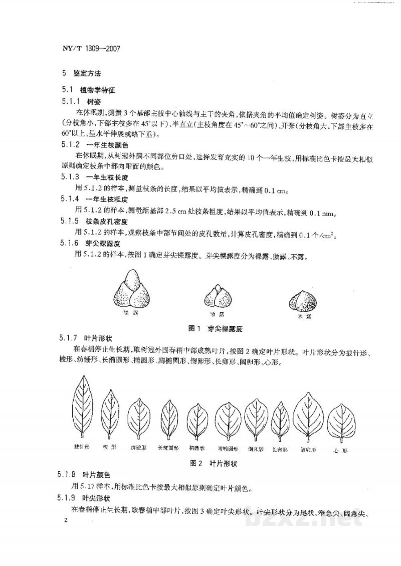 NY/T 1309-2007农作物种质资源鉴定技术规程柿 NY/T 1309-2007农作物种质资源鉴定技术规程柿