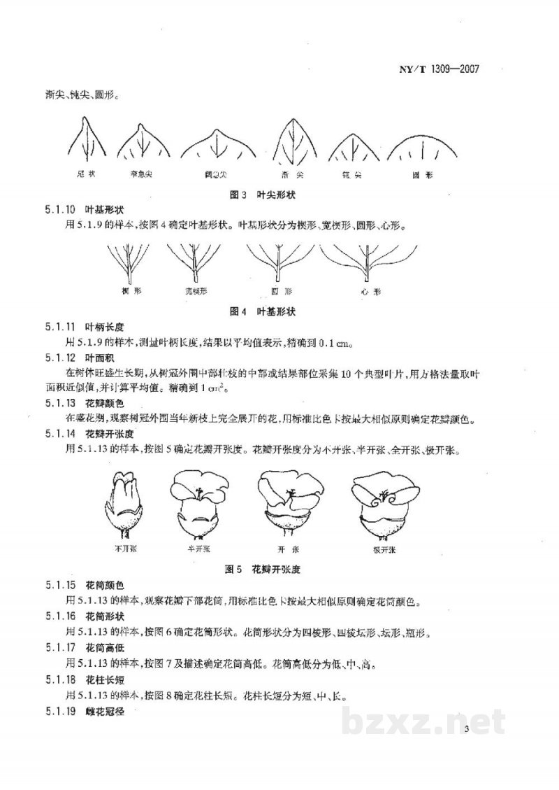 NY/T 1309-2007农作物种质资源鉴定技术规程柿 NY/T 1309-2007农作物种质资源鉴定技术规程柿