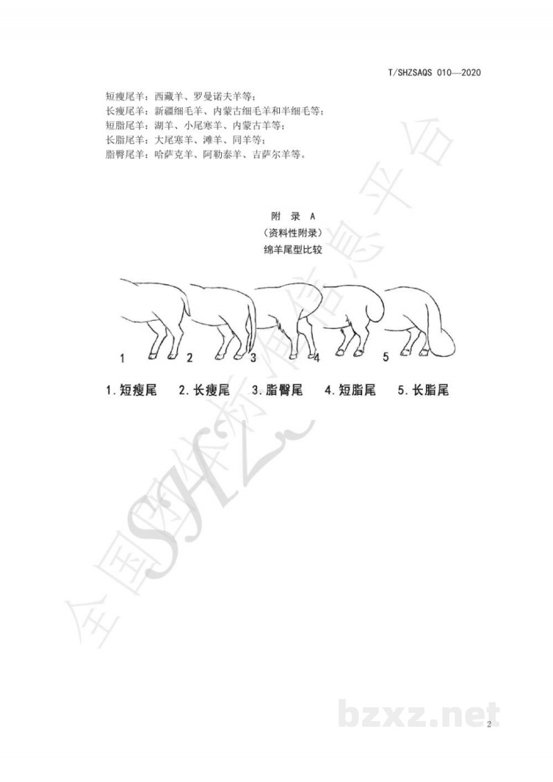 T/SHZSAQS 010-2020绵羊尾型分型技术规程 T/SHZSAQS 010-2020绵羊尾型分型技术规程