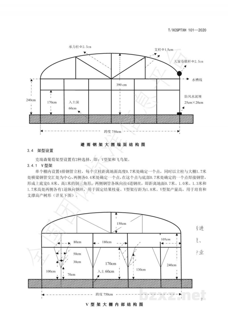 T/XCSPTXH 101-2020西昌市克瑞森葡萄种植技术规程 T/XCSPTXH 101-2020西昌市克瑞森葡萄种植技术规程