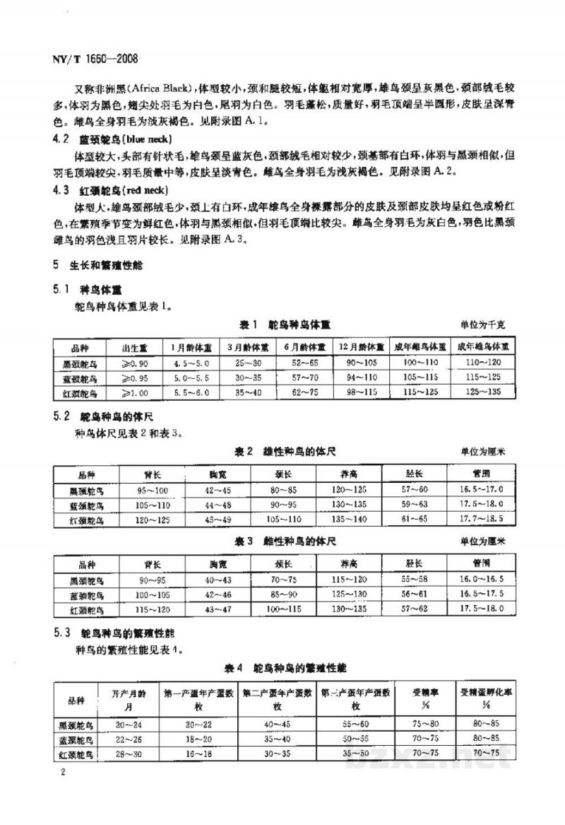 NY/T 1660-2008鸵鸟种鸟 NY/T 1660-2008鸵鸟种鸟