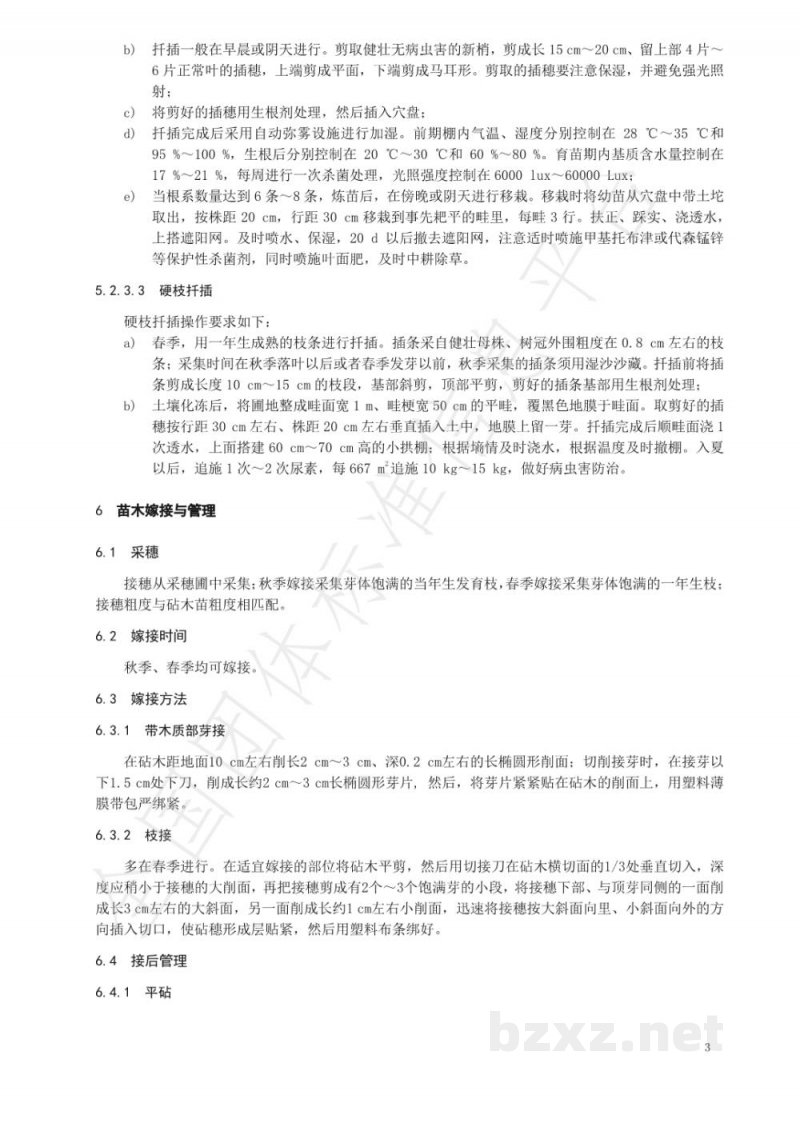 T/YTCA 002-2020烟台大樱桃苗木繁育技术规程