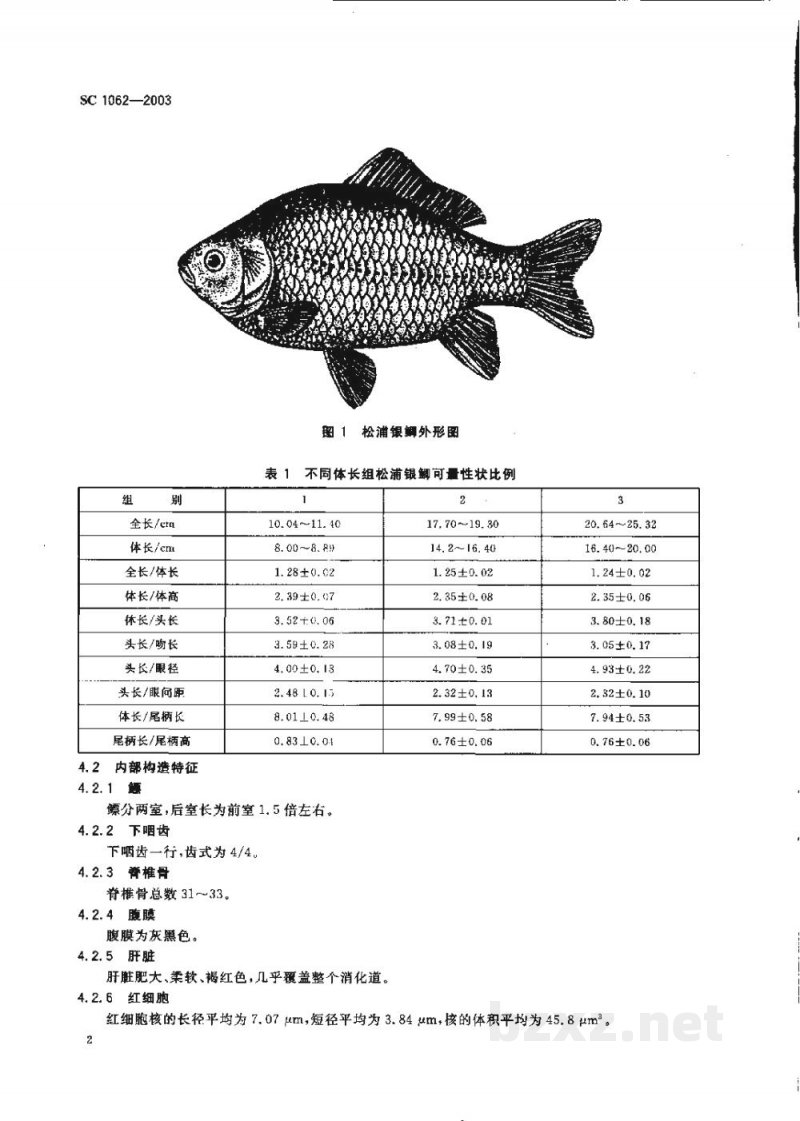 SC 1062-2003松浦银鲫 SC 1062-2003松浦银鲫