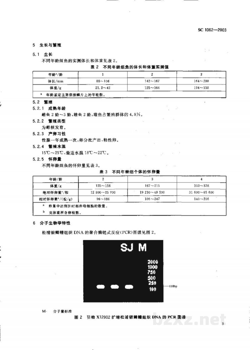 SC 1062-2003松浦银鲫 SC 1062-2003松浦银鲫