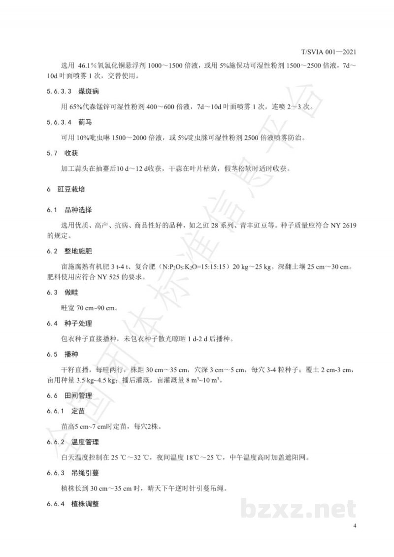 T/SVIA 001-2021大棚大蒜-豇豆一年两作栽培技术规程
