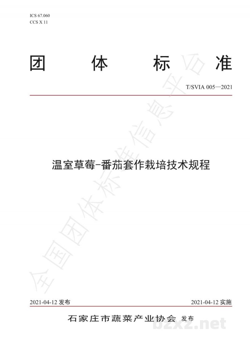 T/SVIA 005-2021温室草莓-番茄套作栽培技术规程