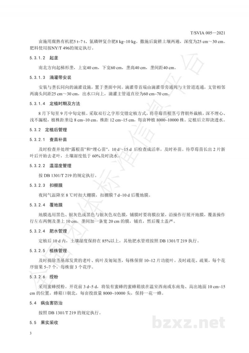 T/SVIA 005-2021温室草莓-番茄套作栽培技术规程