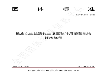 T/SVIA 004-2021设施次生盐渍化土壤夏秋叶用菊苣栽培技术规程