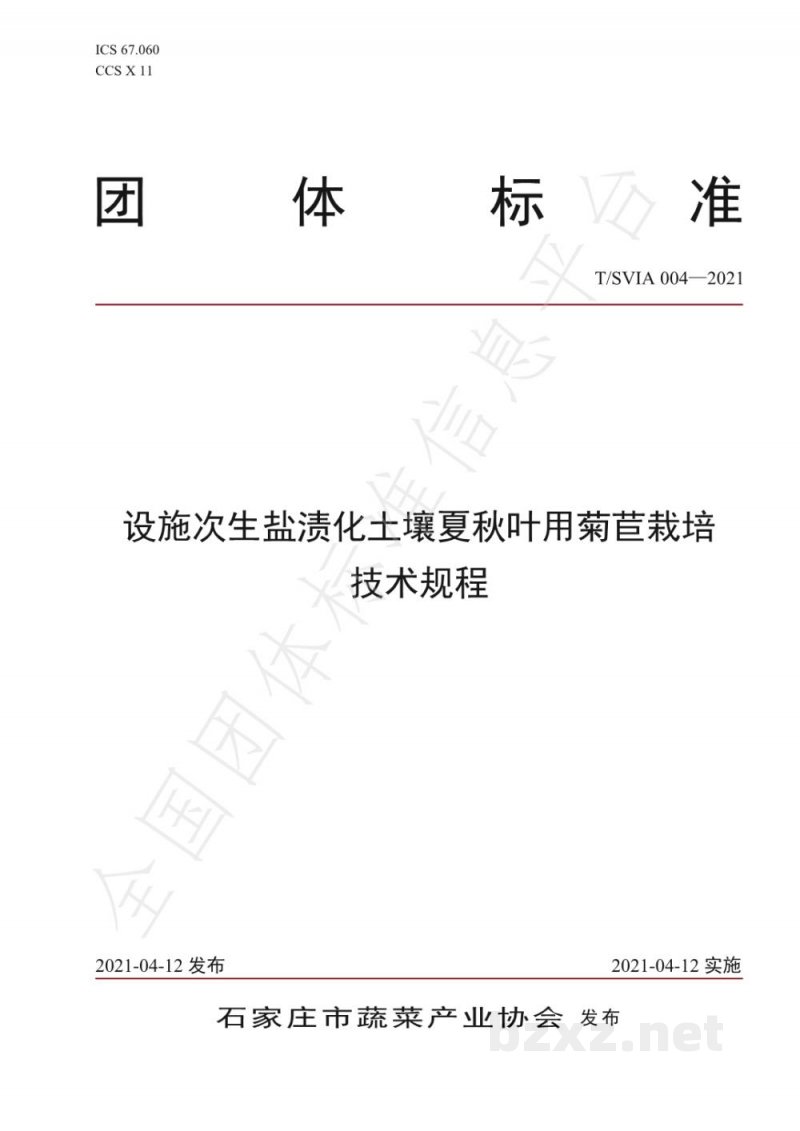 T/SVIA 004-2021设施次生盐渍化土壤夏秋叶用菊苣栽培技术规程