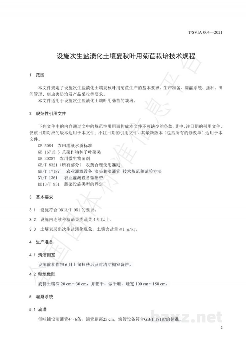 T/SVIA 004-2021设施次生盐渍化土壤夏秋叶用菊苣栽培技术规程