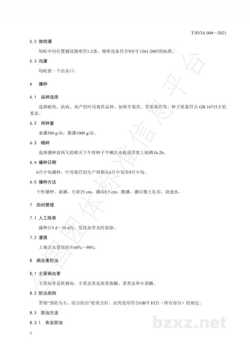 T/SVIA 004-2021设施次生盐渍化土壤夏秋叶用菊苣栽培技术规程