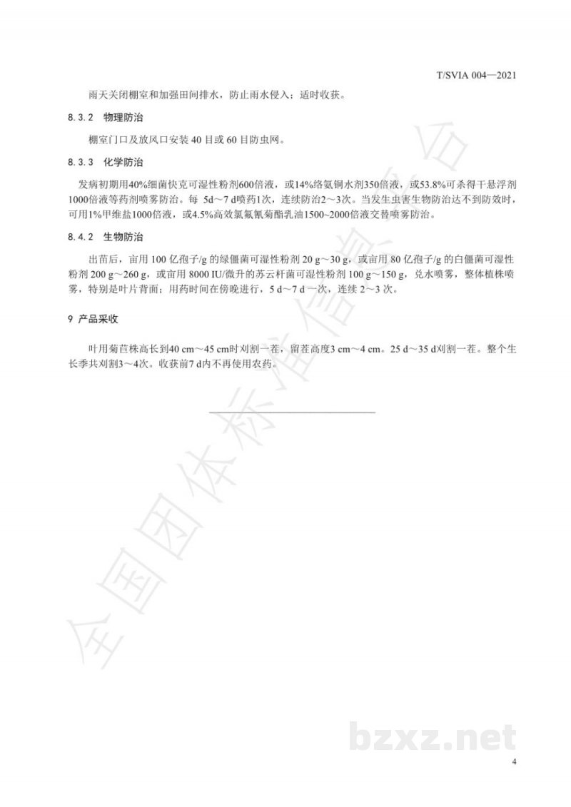 T/SVIA 004-2021设施次生盐渍化土壤夏秋叶用菊苣栽培技术规程