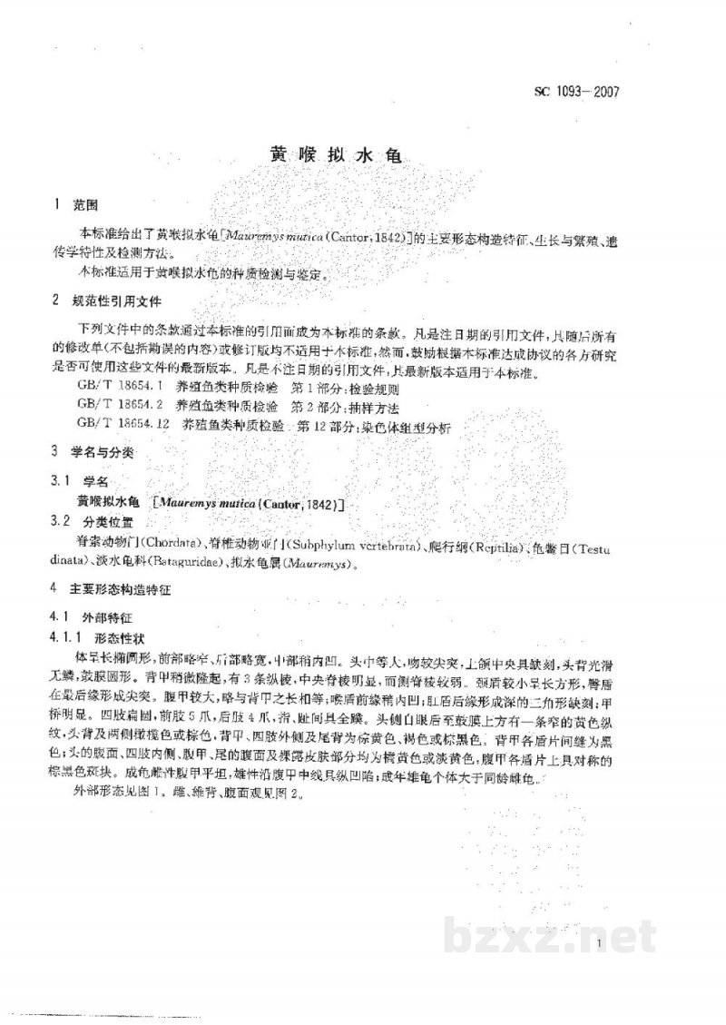SC 1093-2007黄喉拟水龟 SC 1093-2007黄喉拟水龟