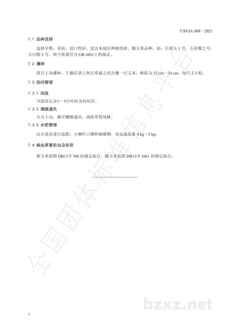 T/SVIA 008-2021日光温室草莓与鲜食玉米套作技术规程