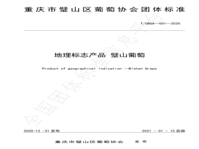 T/CBGA 001-2020地理标志产品 璧山葡萄