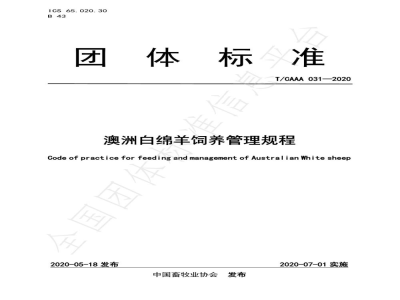T/CAAA 031-2020澳洲白绵羊饲养管理规程
