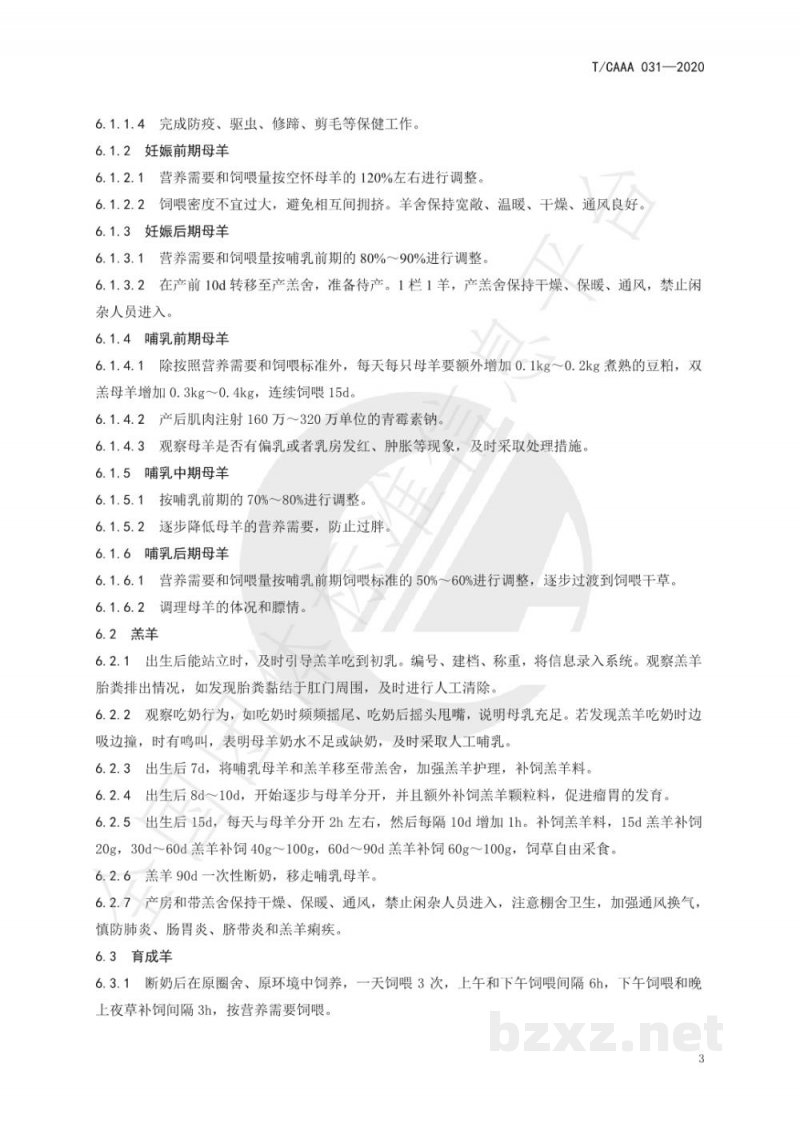T/CAAA 031-2020澳洲白绵羊饲养管理规程 T/CAAA 031-2020澳洲白绵羊饲养管理规程
