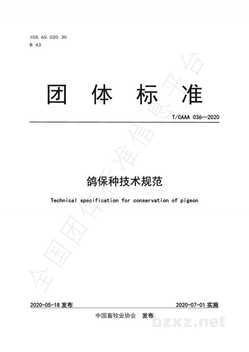 T/CAAA 036-2020鸽保种技术规范 T/CAAA 036-2020鸽保种技术规范
