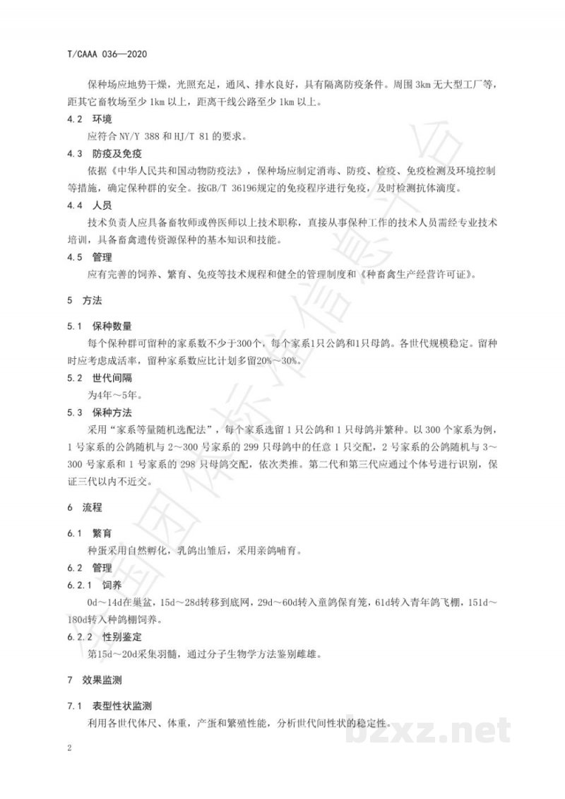 T/CAAA 036-2020鸽保种技术规范 T/CAAA 036-2020鸽保种技术规范