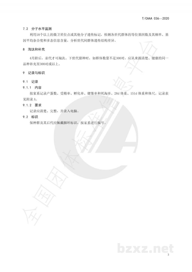 T/CAAA 036-2020鸽保种技术规范 T/CAAA 036-2020鸽保种技术规范