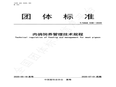 T/CAAA 038-2020肉鸽饲养管理技术规程