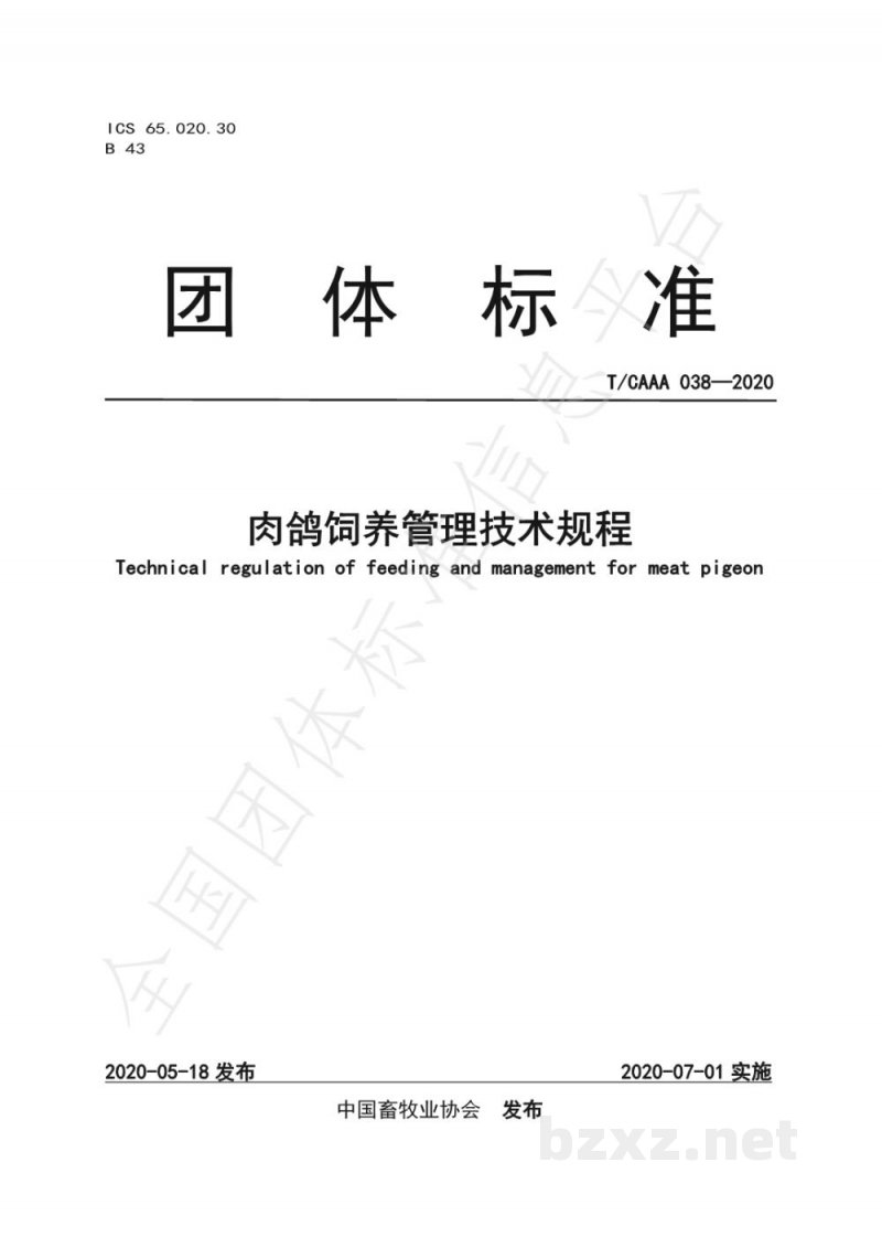 T/CAAA 038-2020肉鸽饲养管理技术规程 T/CAAA 038-2020肉鸽饲养管理技术规程