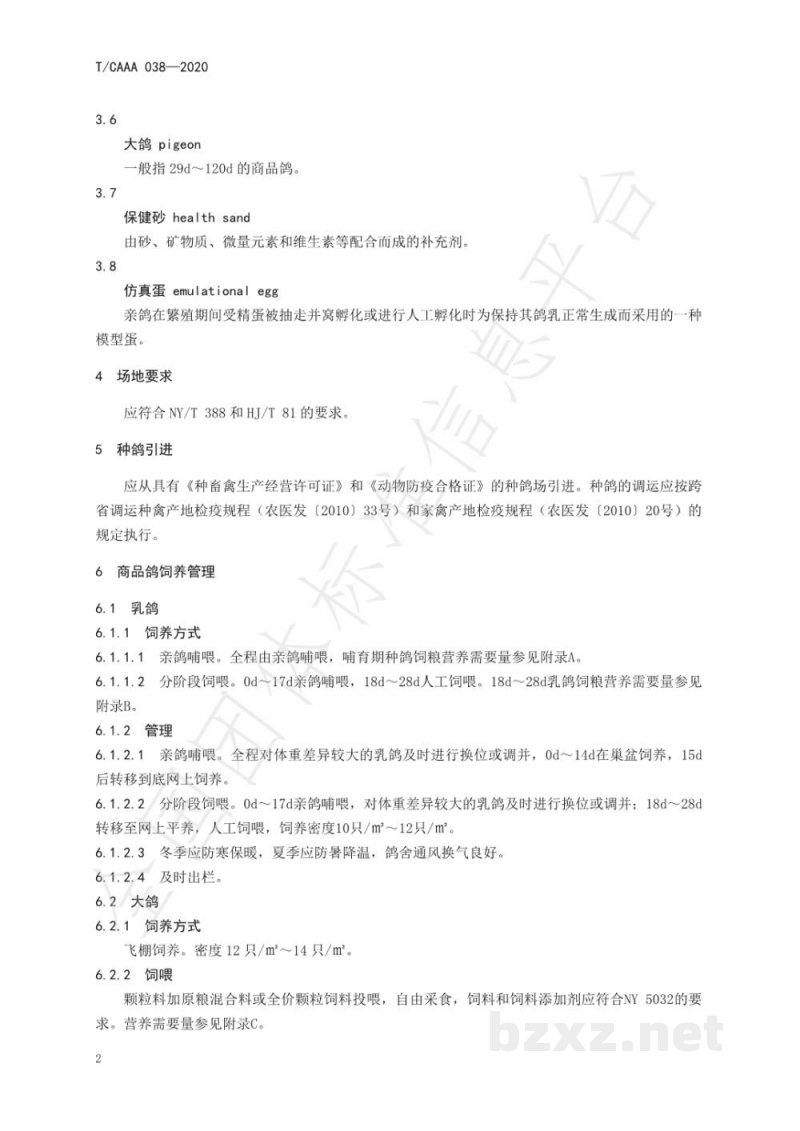 T/CAAA 038-2020肉鸽饲养管理技术规程 T/CAAA 038-2020肉鸽饲养管理技术规程