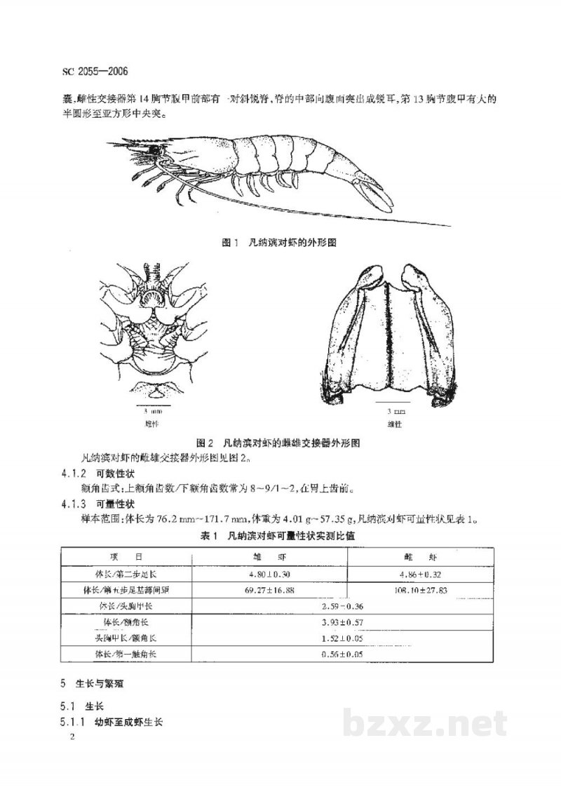 SC 2055-2006凡纳滨对虾 SC 2055-2006凡纳滨对虾