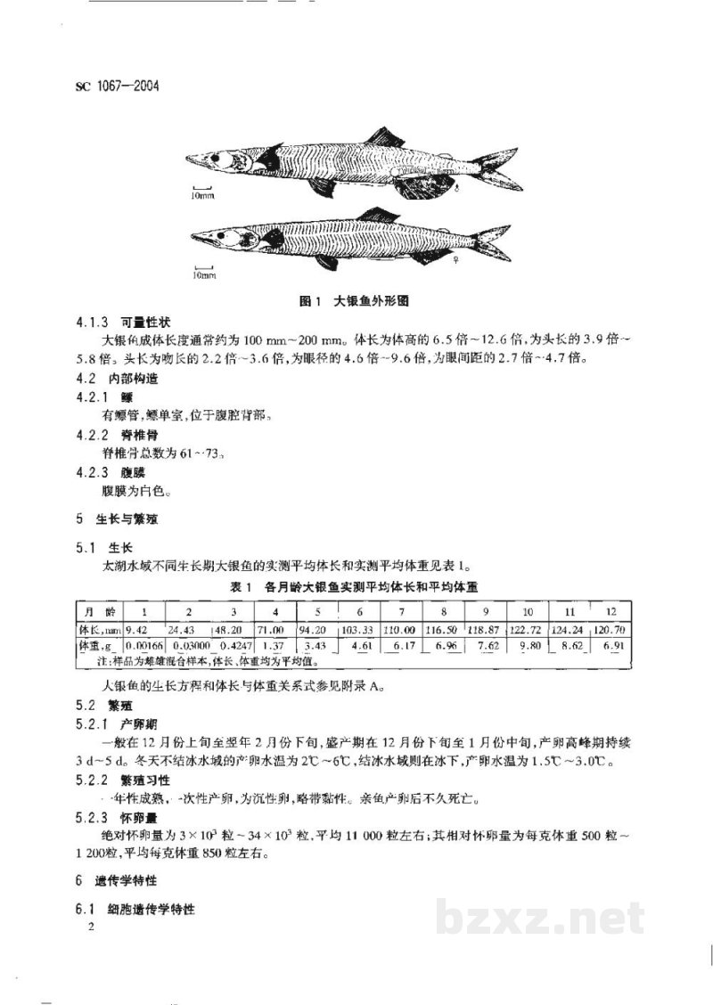 SC 1067-2004大银鱼 SC 1067-2004大银鱼