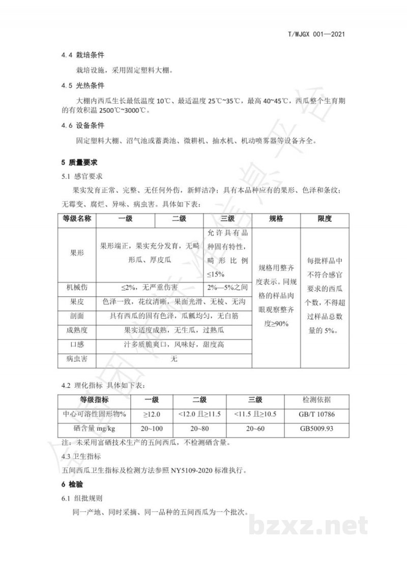 T/WJGX 001-2021五间西瓜