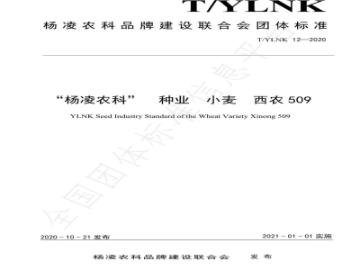 T/YLNK 12-2020TYLNK 12-2020  “杨凌农科”  种业  小麦  西农509