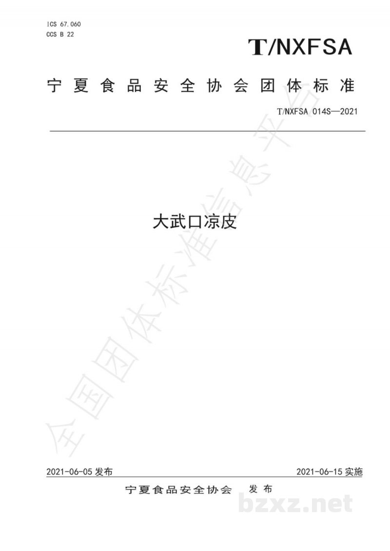T/NXFSA 014S-2021大武口凉皮
