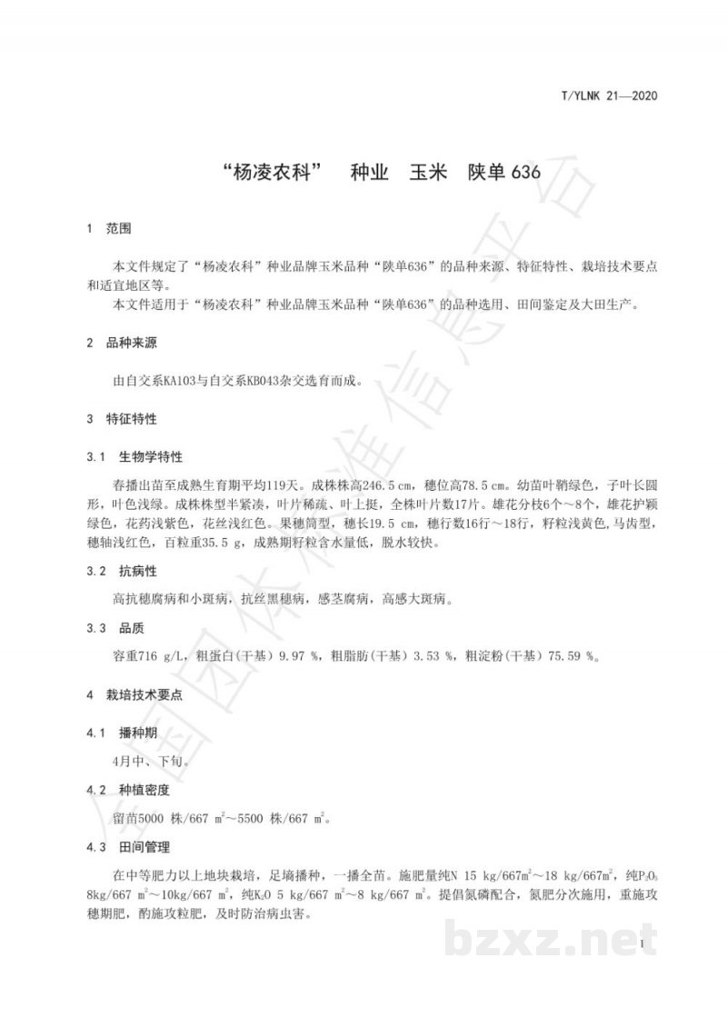 T/YLNK 21-2020“杨凌农科” 种业 玉米 陕单636 T/YLNK 21-2020“杨凌农科” 种业 玉米 陕单636