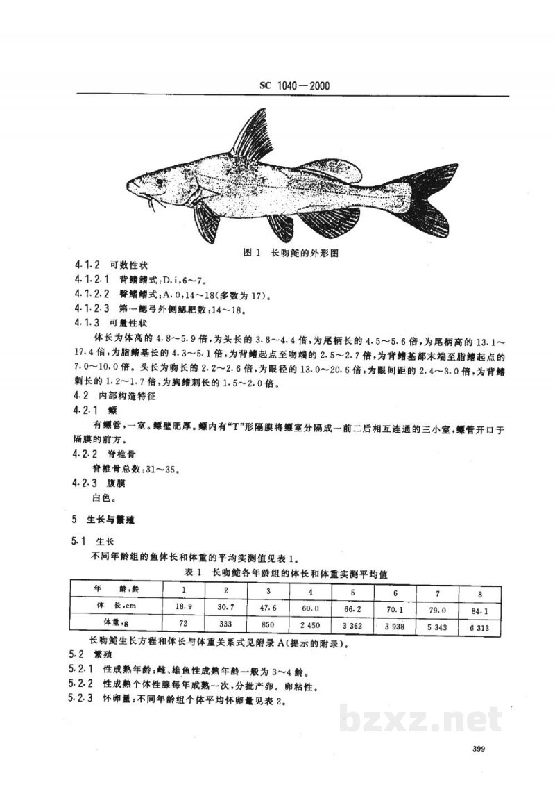 SC 1040-2000长吻鮠 SC 1040-2000长吻鮠