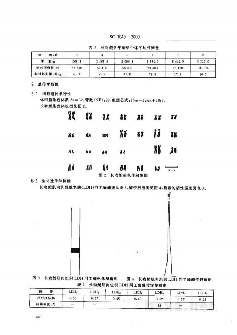 SC 1040-2000长吻鮠 SC 1040-2000长吻鮠