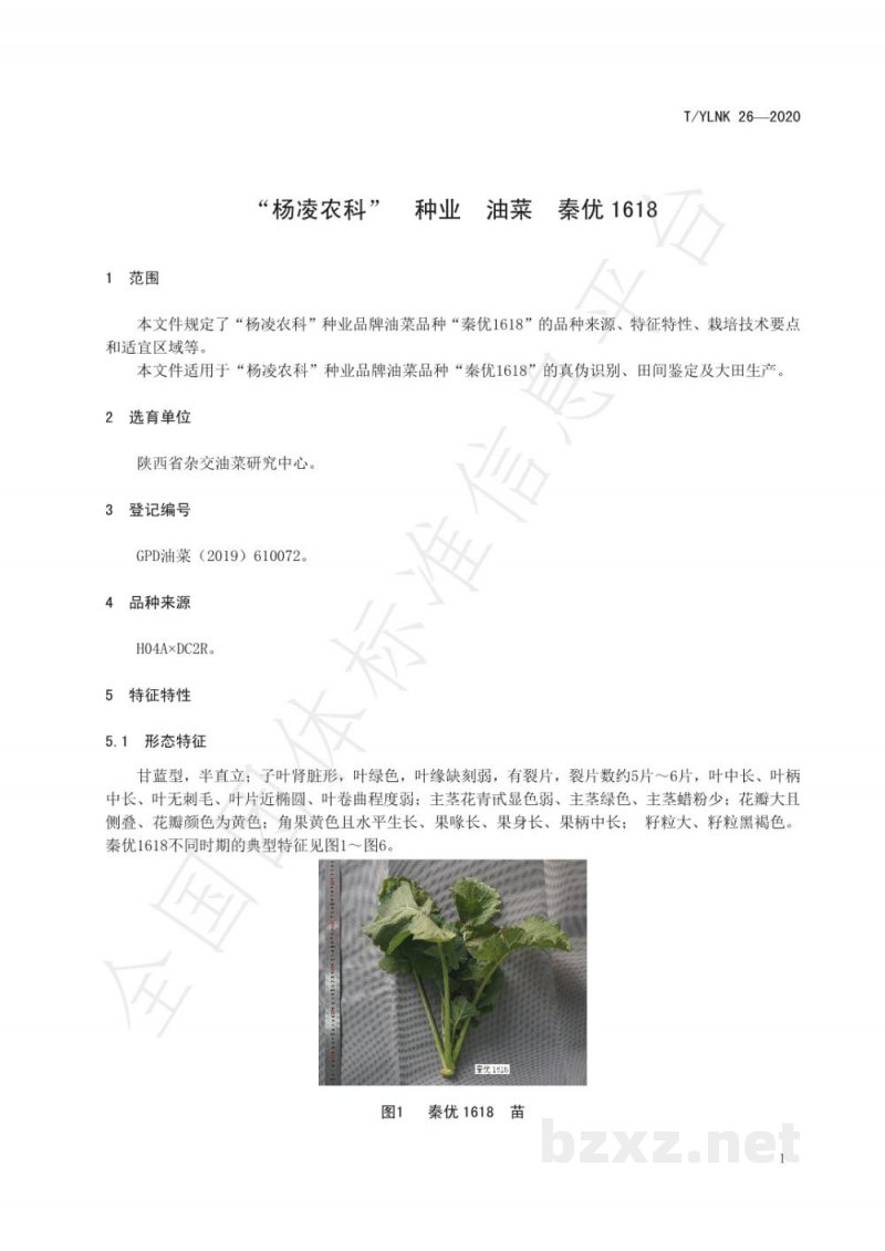 T/YLNK 26-2020“杨凌农科” 种业 油菜 秦优1618 T/YLNK 26-2020“杨凌农科” 种业 油菜 秦优1618