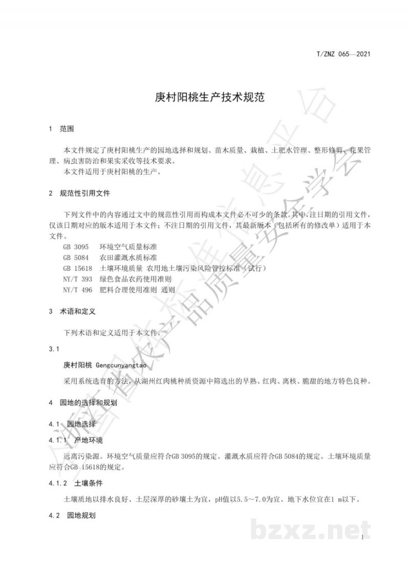 T/ZNZ 065-2021庚村阳桃生产技术规范