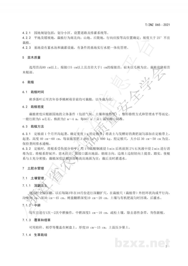 T/ZNZ 065-2021庚村阳桃生产技术规范