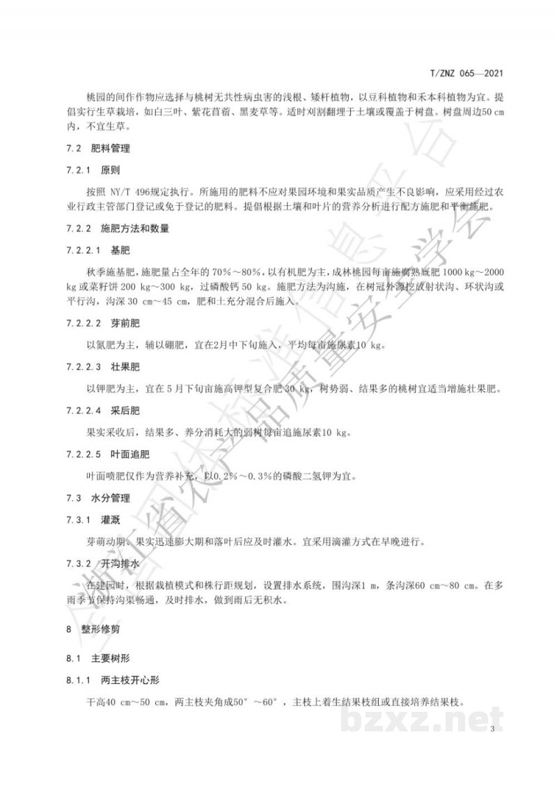 T/ZNZ 065-2021庚村阳桃生产技术规范