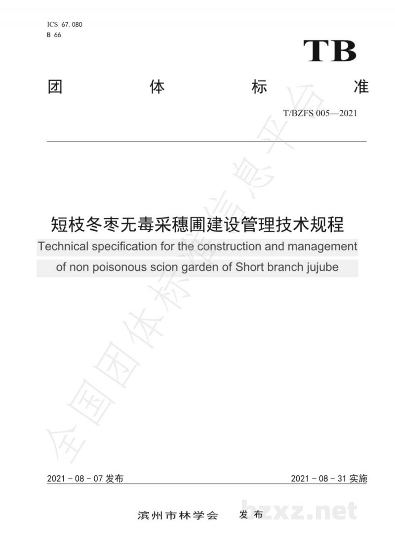 T/BZFS 005-2021短枝冬枣无毒采穗圃建设管理技术规程