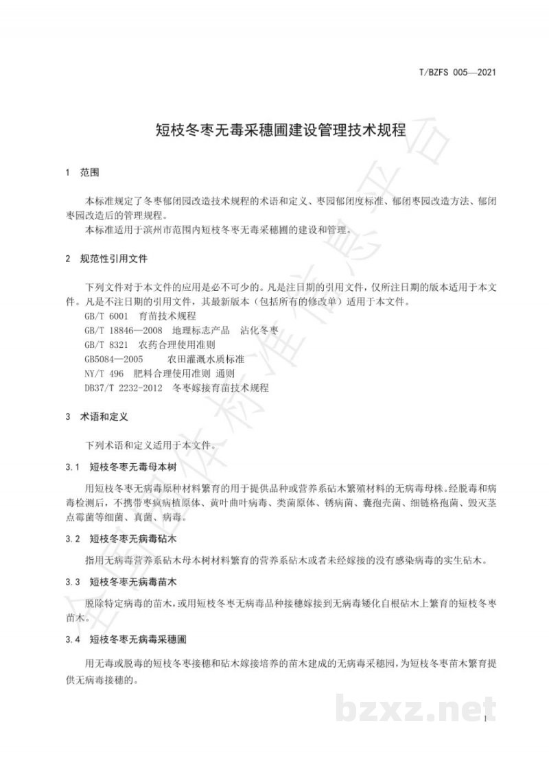 T/BZFS 005-2021短枝冬枣无毒采穗圃建设管理技术规程