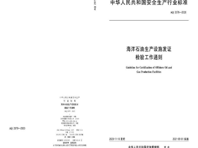 AQ 2079-2020 海洋石油生产设施发证检验工作通则