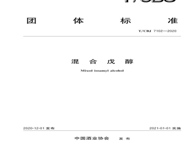 T/CBJ 7102-2020混合戊醇