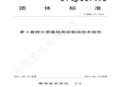 T/QHNX 017-2021萝卜套种大葱露地高效栽培技术规范