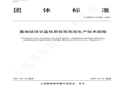 T/SVEFA 01008-2021露地结球甘蓝优质轻简高效生产技术规程