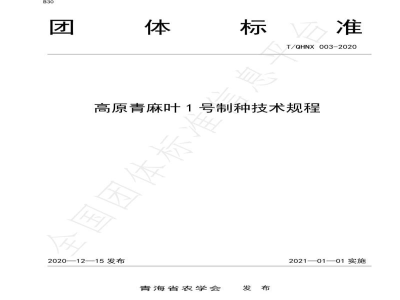 T/QHNX 003-2020高原青麻叶1号制种技术规程
