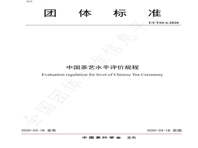 T/CTSS 6-2020中国茶艺水平评价规程