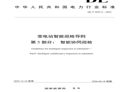 DL/T 2825.5—2025 变电站智能巡检导则 第5部分:智能协同巡检