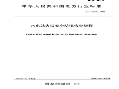 DL/T 2985—2025 水电站大坝安全防汛检查规程